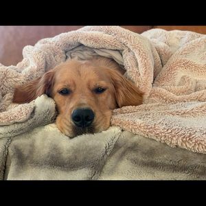 Meet your Posher, Meghan